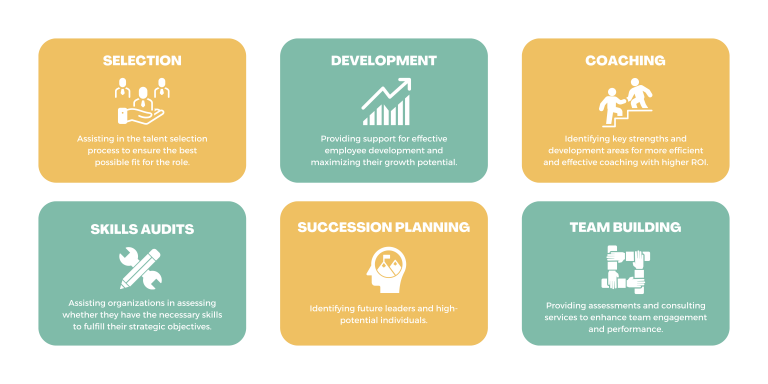 Psychometric Assessments - Assessment